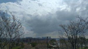  ��� ������ ��������?