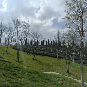  ��� ������ ��������?