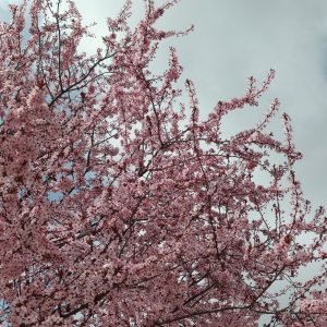  ��� ������ ��������?