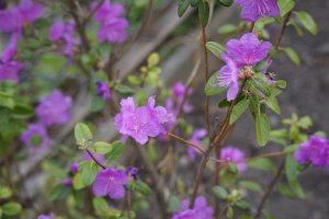 C ���� ��������!!! �������, ��������, ����� � ����!