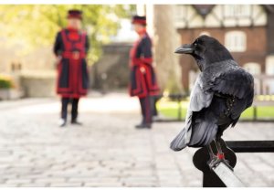 2bimo:  >�����  ����, �������, ������, �����, �����, ����� � �������