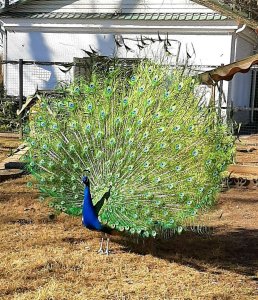 � ���� �� !