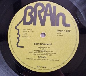 ���� ������ 