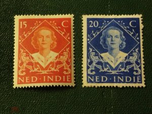 ���� �������� �����