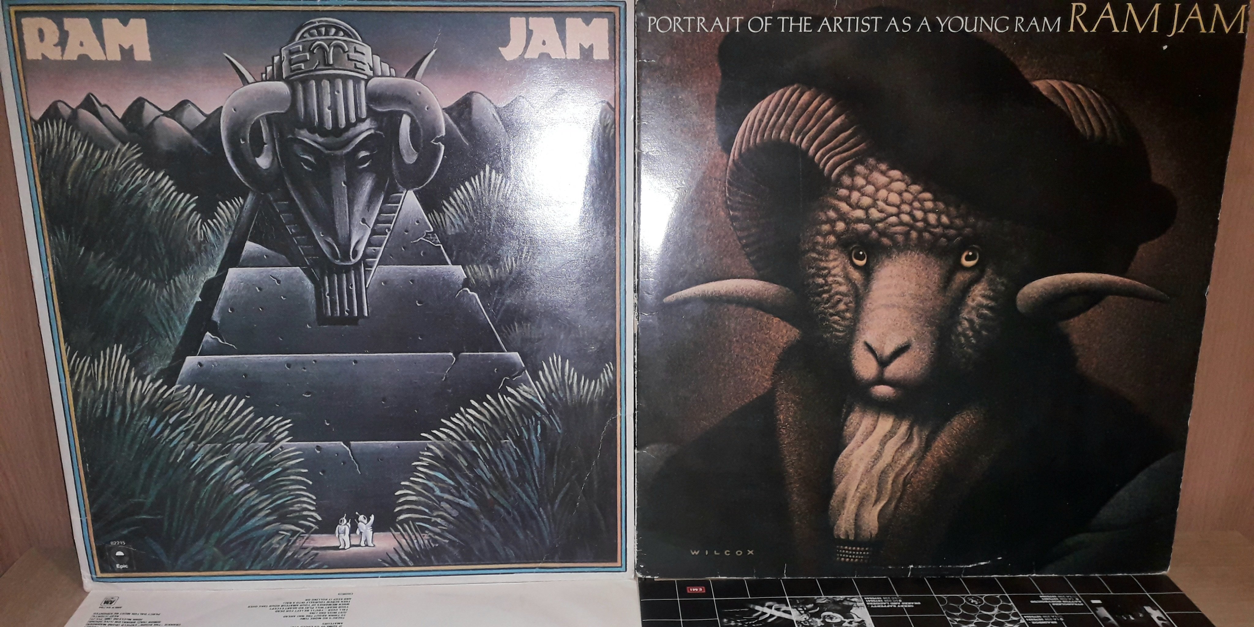 ��� �����