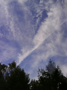 ����� � ���������� ����������� ������������ � ������������ � ������� ������ �� ������������� ������� ���� ������, ����� �� �������� ��� ������� ��������� �� �������� �������� �� ��� ����� ����� �� ����������. ���� ������ ��� �������� �������.