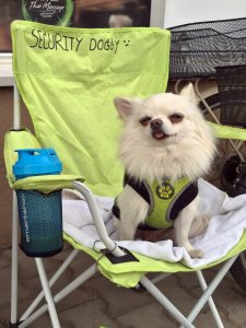 ����������� �� ����