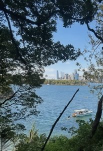 ���� ��������� (��� ���� ����������-����������������)