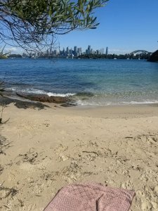 ���� ��������� (��� ���� ����������-����������������)