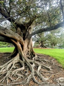 � ������������ ���� 