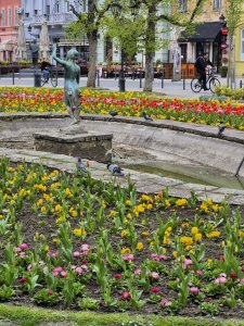 Novi Sad. ����� :))