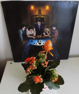 � ������  � ���� ������������ !