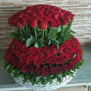 � ���� �������� � ���������� �����������!