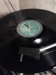 �������, �����������! 