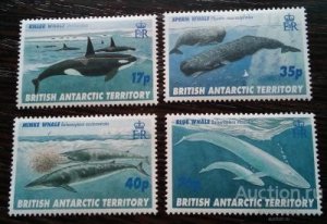 ���� ���� ����������