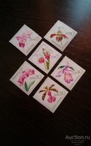 ���������. �����. ��������. �������������