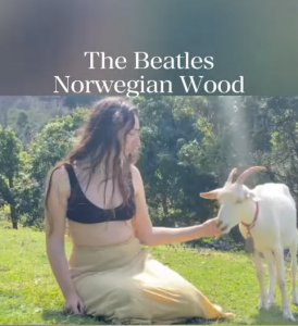 🎸 �Norwegian Wood�: ����������� �������� � ������������ ������ ���������