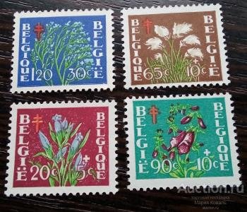 ���������. �����. ��������. �������������