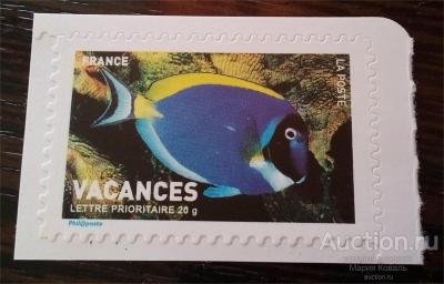 ���������. �����. ��������. �������������