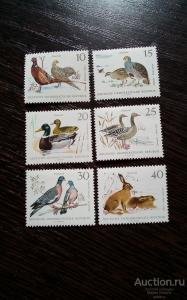 ���������. �����. ��������. �������������