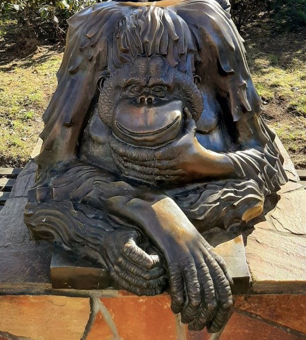 ��� ������ ��������?