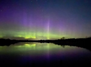 � ���� ����� ���� ����� 