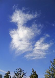 ������ �������.