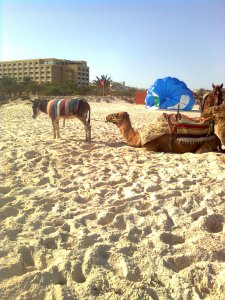  �� ����� ������.