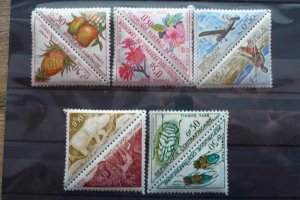 ���� ���������� �����