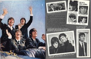 The Rolling Stones Family: Brian Jones' Lonely Hearts Club