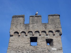 ��� ������ ������������� ������������� ��������� ����� �� ������� �����.��������� ��������� ������� ���� �� ���� �������, �� ������������ �� ������������ �����-�������, �������� � ������� ������.