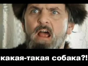 ���� � ����������