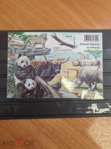 ��� ��� ����� ��������