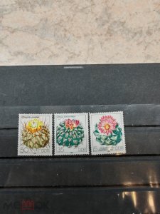 ��� ����