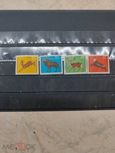 �� � ��� ����� ��� ����� � ��������� �� ��� � ���� �����. � ��� ��� ����� ����� ���� ��� �����. ��� ����� �������� 500 ������ ����� ������� �� ���� ���� ������ � ������ ��� ���� 40 ������ ���� ���� ��� ������� 