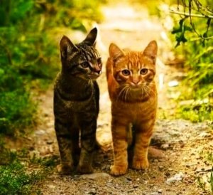 - ���� ����? - �� ����. - ����� ��� �� ����.