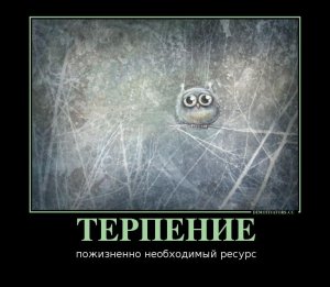 ����������...