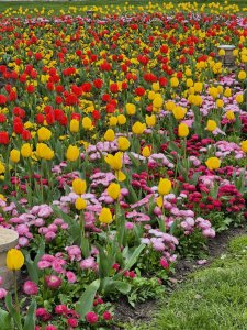 � ���. �� strawberry, �� fields :))