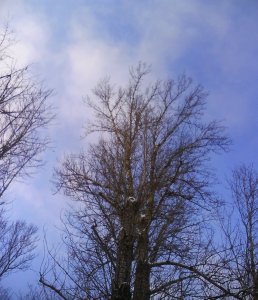 2013.01.21