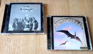 THE FLOCK, ������ �������� �������� ��������� �������������� �������(����� ��������� � Mahavisnu Orchestra), �� ������ ����� ������ ������ � ����, ��� � �� ����� ���������� ������-�����, ��-�� ����������� ������ ������� ������������. �� ������� ���� ������������� � ������� � The Flock �� ����������, ��� ��� ���� � ������� ������������� � ������ ���-������� ��� �����, � ������ ������ ��������������� ���� ��� ��������� ��� �������������� �������, ������� ��������� ������� ����� ������. �� ������ ��� �������� ��������� ������������� The Flock ��� ������, ������ ���� ������������ � ��������� �, ��������� ��������� ����������� �����������, ����� � ������ ����� ���� ����� ����������. �� ������ ������������ ����� ���� ������� ���������� �����, ���������� ���, ��������, ����, ���� � ���� ����, ����� � ������ ����� � ��� �� �����. ���� ������ ����������� �������� ������ ��� ������ ���� ��� �������� ������� ������ ������ ������, �� ��������� Dinosaur Swamps ��� ����� ��������� � ����� ������������� � �������� ������� � ������� � ���� ���� ������-��������.