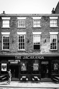 Silver Beetles ������: Jacaranda Coffee Bar, ���������