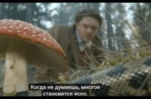����� - ��� ����. �� �� ������ �, ������ �������.