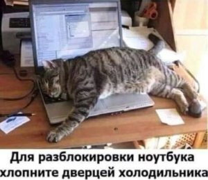 ������ ����� �������� ��������.