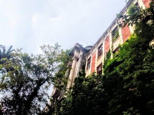 ������������ ������������...