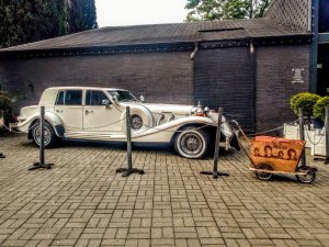 ������������ ������������...