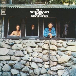 ������ ������������ ����� ������� ����������� ������������� The Byrds ����� 60-�, � ������� ������ ��������� �������� ����������, ����-����, ������, ����������� ������, �������� ���-������ � �����. � ���������� ���� ������ ��� ������ ������������ ��� ��������� �������� � ���������������� ������, ������� ���������, ���������� � ���������������� ���������������. The Byrds ����� �������� � ���� ������ �������� ��������� �������� ������ � ���������� ����������� Moog, ��� ������� ��� ����� �� ������ LP-�������, �� ������� ���������� Moog.
