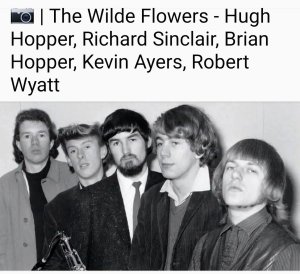 ��������, ���������� �� ���. ������ Hugh � Brian Hopper - Wild Flowers, Soft Machine � ����� ������ ������������.