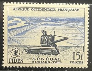 ��� ������ 1956