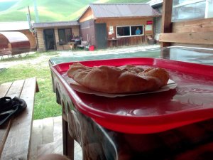 ������������ ������������...