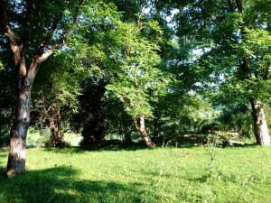 � ��� � � ���������, ��� ��������� � ������� �����������. ����� ���������� ���� �������� �������� ����� � ������� ����� �� ���������� ��������� ������� �� �������